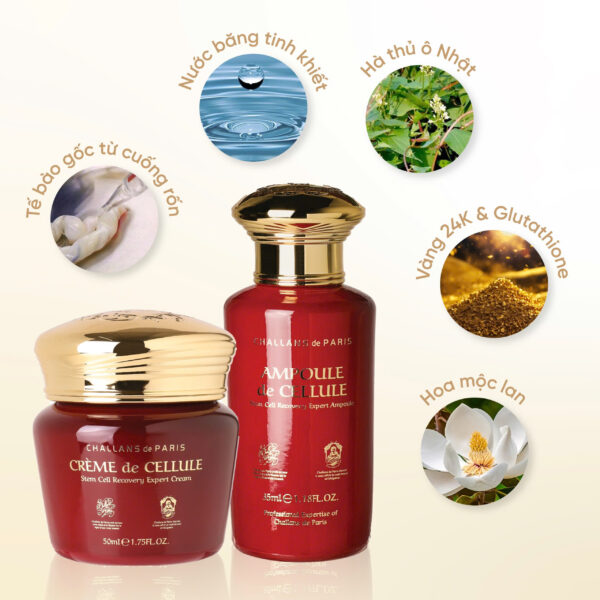 CRÈME de CELLULE<br> <span style="color:#C8985A;">Kem dưỡng Tế bào gốc (50ml)</span> - Hình ảnh 4
