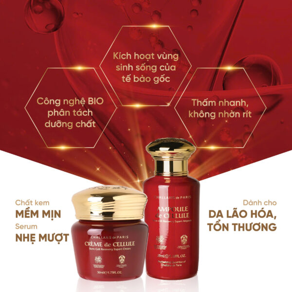 CRÈME de CELLULE<br> <span style="color:#C8985A;">Kem dưỡng Tế bào gốc (50ml)</span> - Hình ảnh 3
