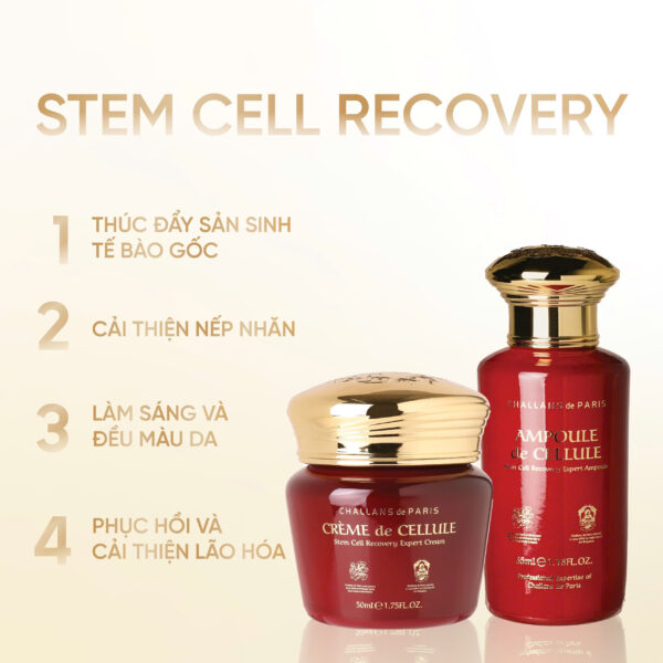 CRÈME de CELLULE<br> <span style="color:#C8985A;">Kem dưỡng Tế bào gốc (50ml)</span> - Hình ảnh 2