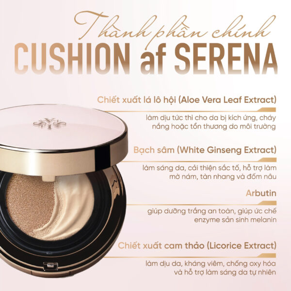 Phấn Nước Chống Nắng, Che Phủ, Mịn Lỳ Skanskin Cushion af Bonita SPF 50+/ PA ++++ (15G/25G) - Hình ảnh 4