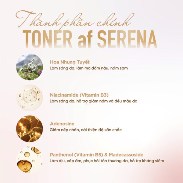 Toner Cấp Ẩm Mờ Thâm, Nám, Tàn Nhang Chống Lão Hoá Da Cân Bằng Da Skanskin Skandi Navisk Toner af Serena 120ml - Hình ảnh 4