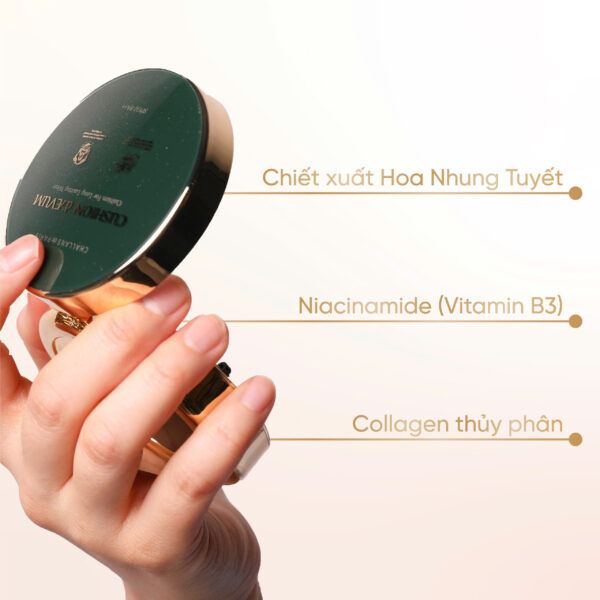 CUSHION d'ÆVUM<br> <span style="color:#C8985A;">Phấn nước & Kem nền (15g)</span> - Hình ảnh 7